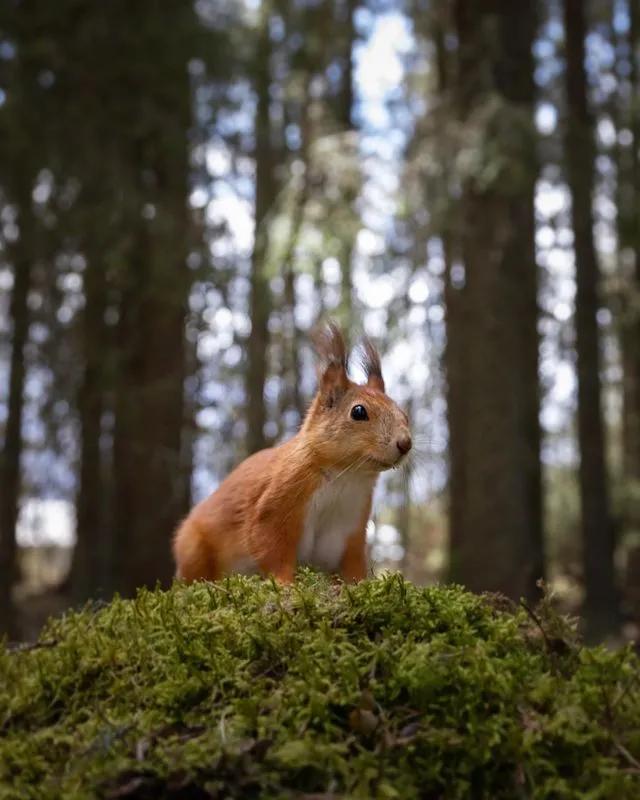 葬礼当天，她成为了四个孩子的“后妈”，网友：这是童话故事吧