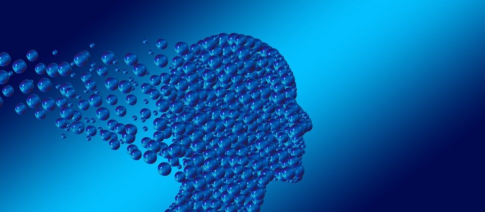 心理学家具有哪些素质特征,心理学家有什么特殊的能力