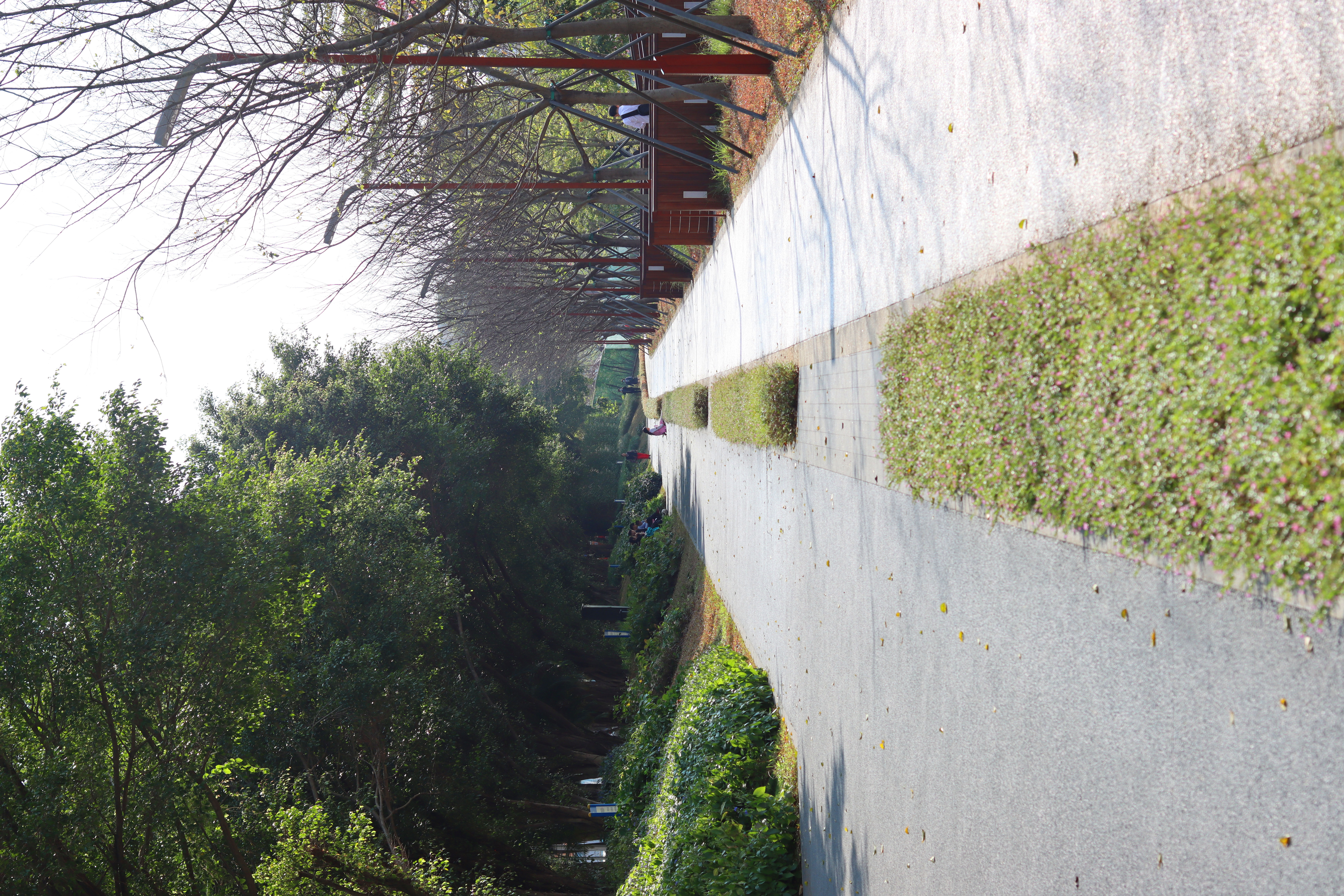 beatspowerbeatspro上手体验,beatspowerbeatspro沉浸式开箱