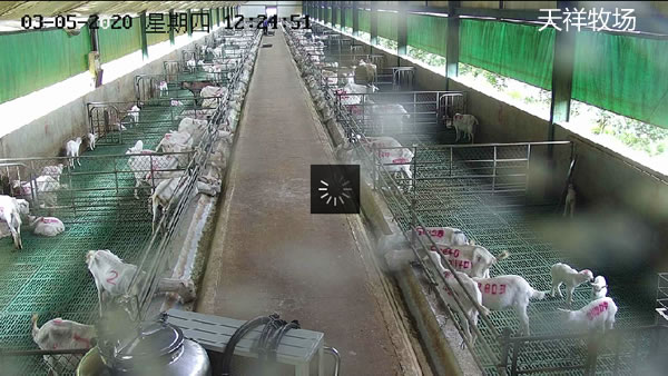 上海黯荧科技联合组建——天祥牧场