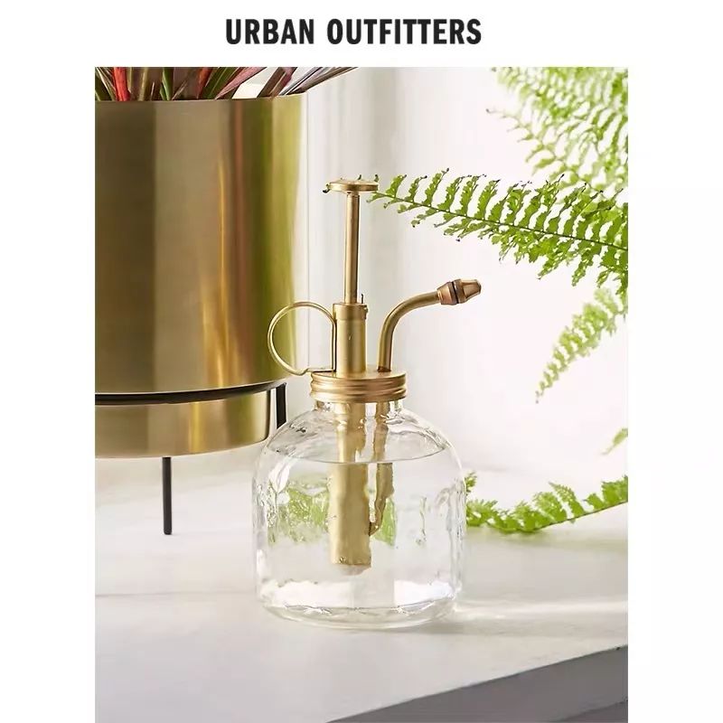 娱乐圈的小花有哪些,娱乐圈里的小花