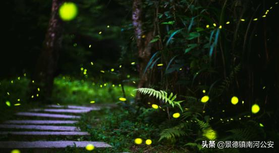 古诗夏夜微凉,古诗夏夜朗诵