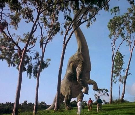 恐龙这么多为什么发现化石这么少,恐龙为什么有大量化石