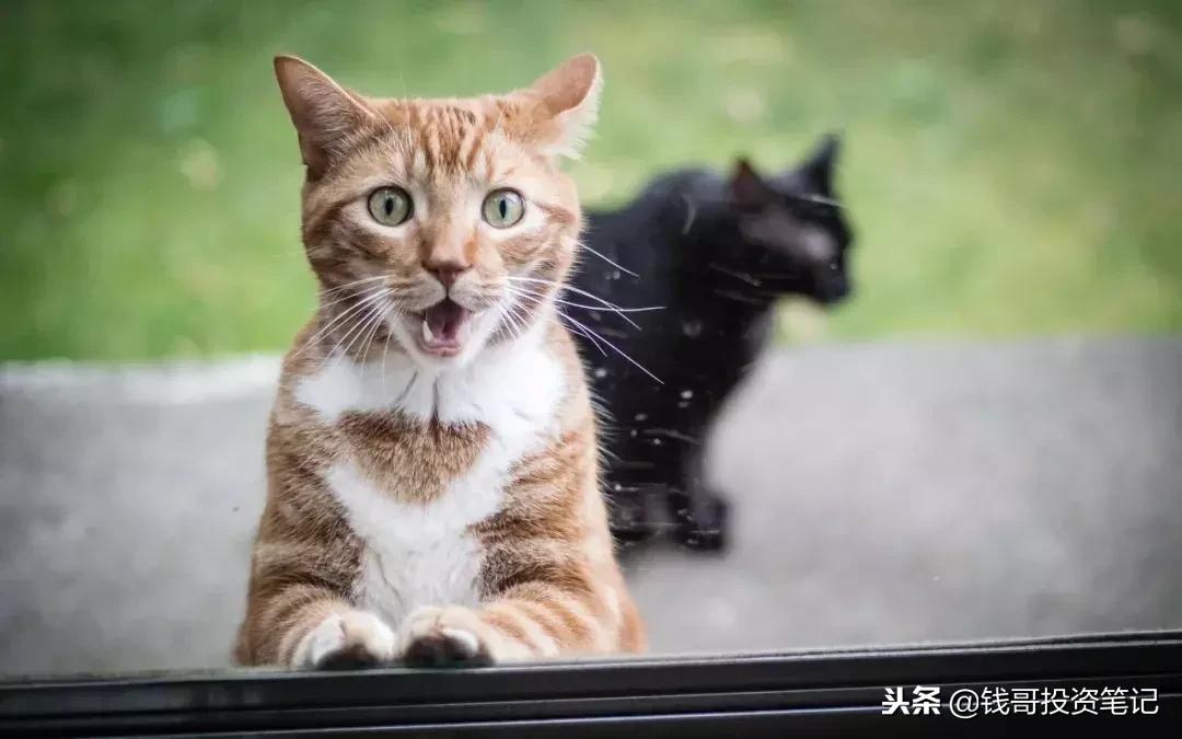 京东支付宝分期靠谱吗,京东分期支付宝分期