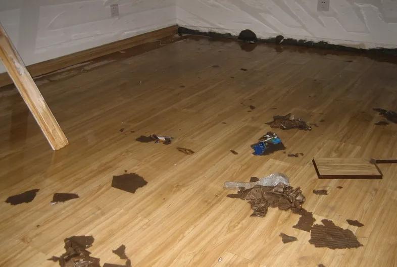 地板之间离得太近起拱怎么处理,地板起拱了怎么办视频