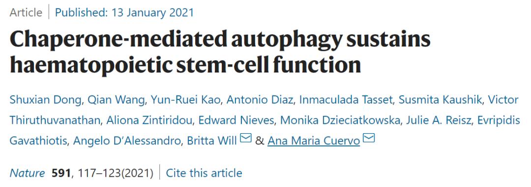 治疗阿尔茨海默病最新研究,目前抗脑衰的研究成果
