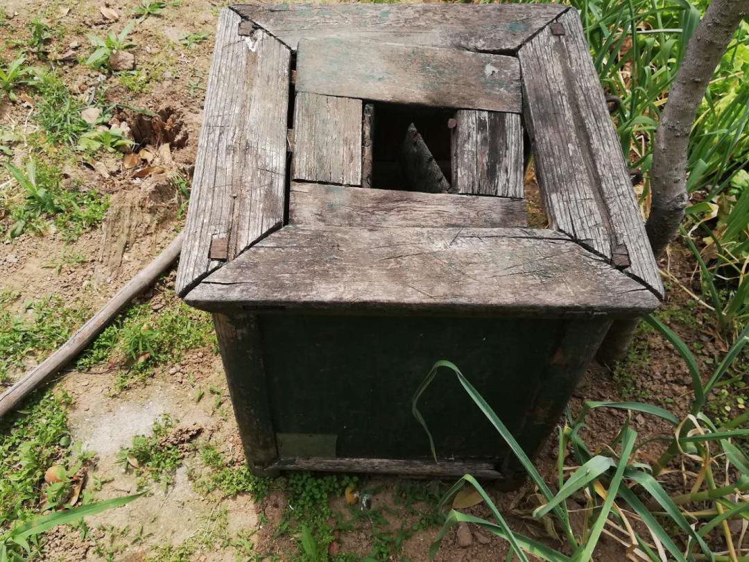 闲着木事儿，你来俺家玩儿呗