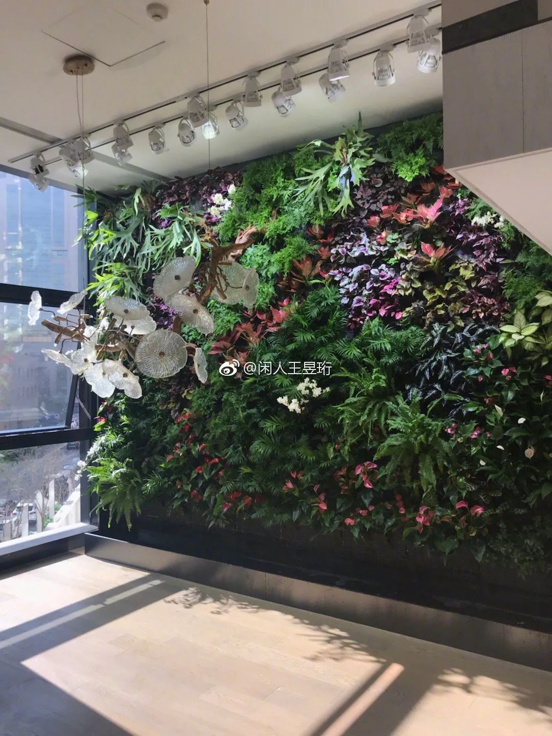 王昱珩不上班做到财富自由,最强大脑王昱珩清华毕业后不上班