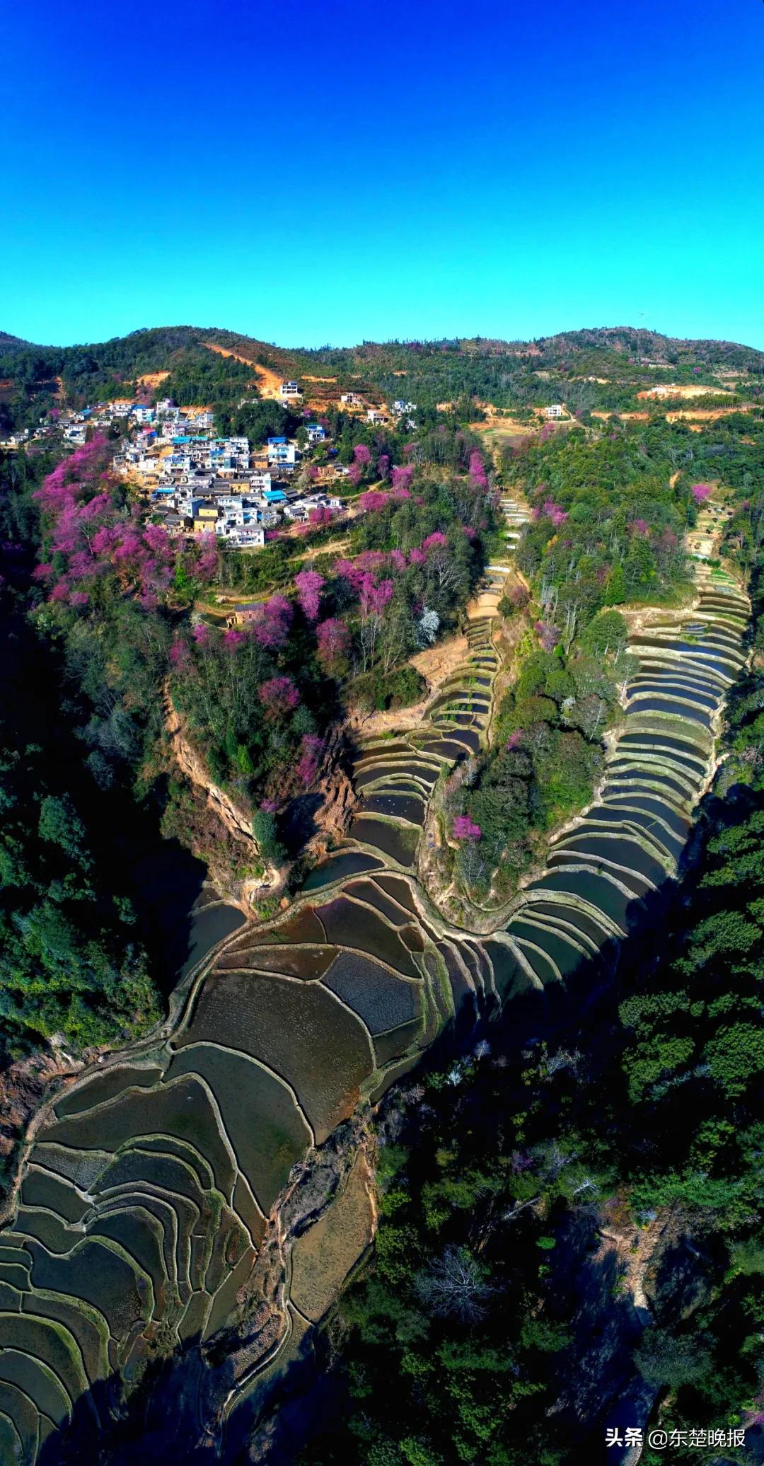 元阳梯田脱贫,红河哈尼族彝族自治州扶贫