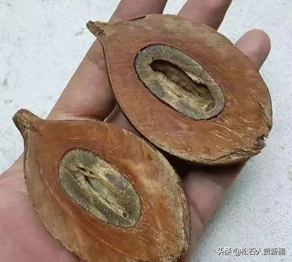 果核纯手工做的手串,用果壳做手串