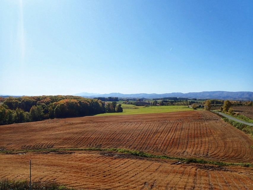 日本从南到北旅游路线,从南游到北