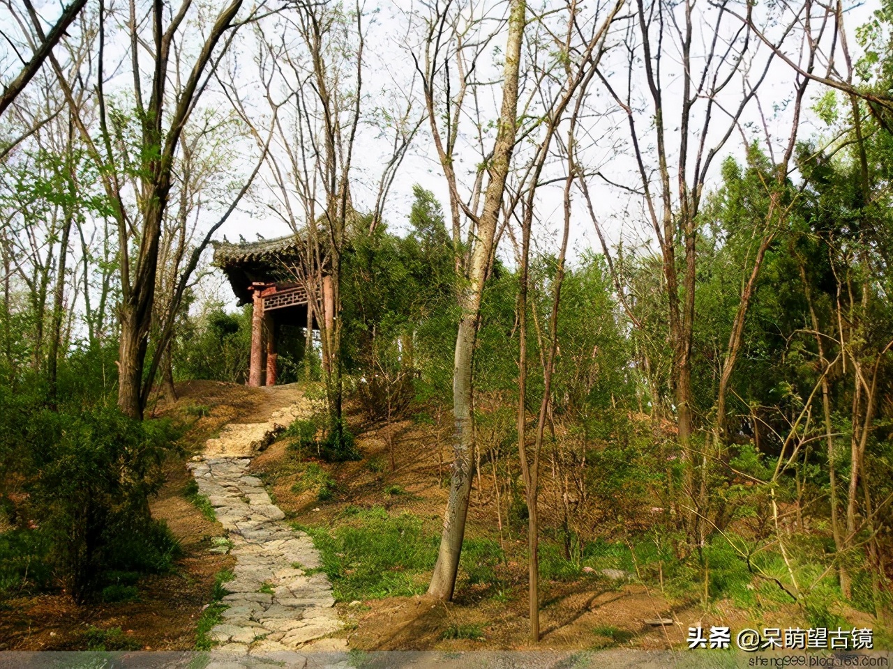 武松打虎的告示的写法,武松官府告示完整版