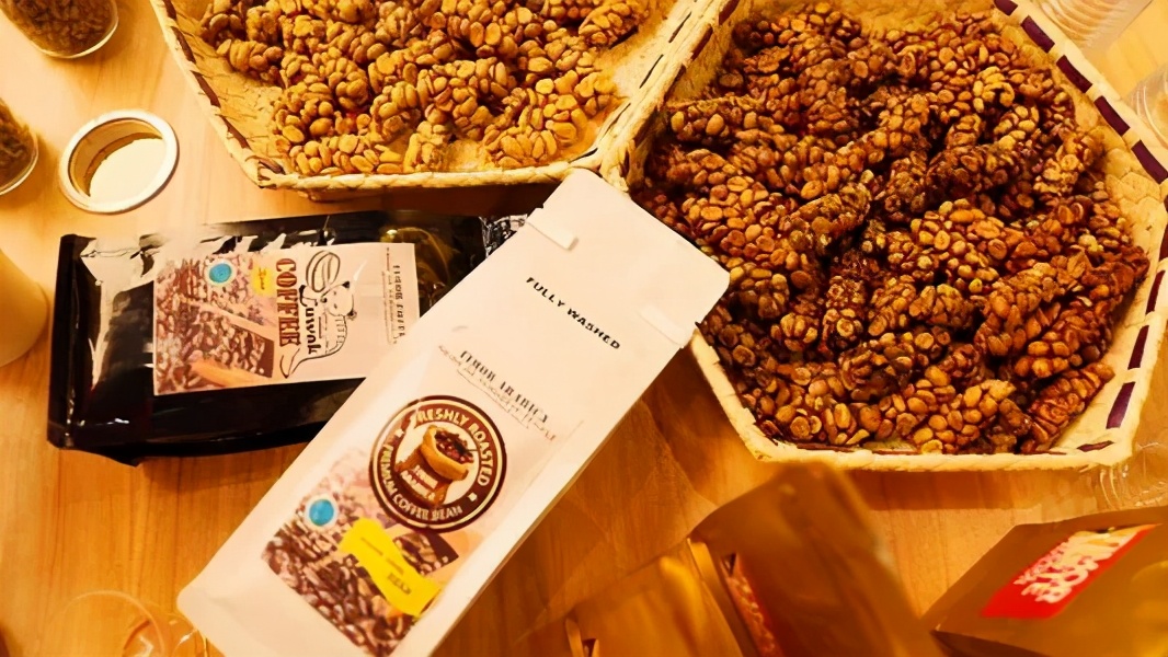 猫屎风味咖啡是真的猫屎咖啡吗,醉忆香猫屎咖啡是真猫屎咖啡吗