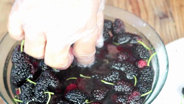 桑葚泡酒的正宗做法大全,桑葚泡酒的简单做法