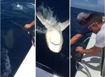 伊布除了足球还擅长什么运动,伊布除了足球还会什么