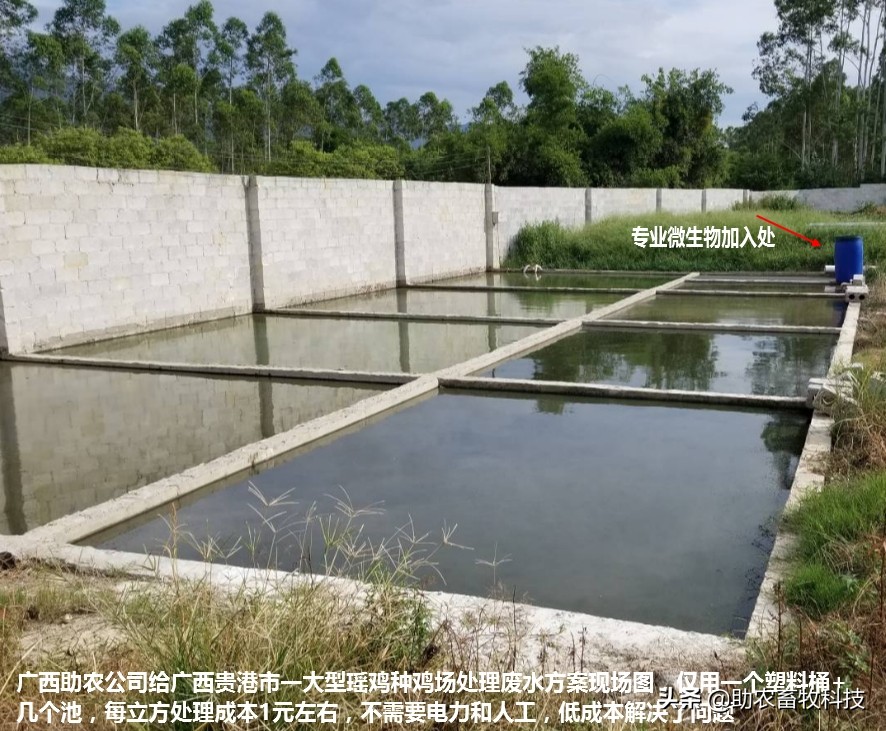 养鸡场鸡粪环保处理方法,养鸡场鸡粪污染治理设施