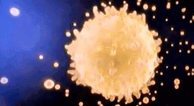 每一个都那么拼命前进，我们还好意思去选择性别吗？