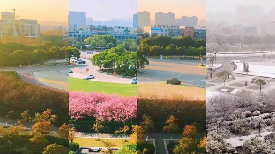 上海大学适合报考哪些专业,上海大学值得报考吗