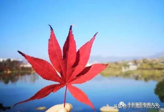手机摄影怎么拍出好看的景色,手机如何拍出低调的摄影照片