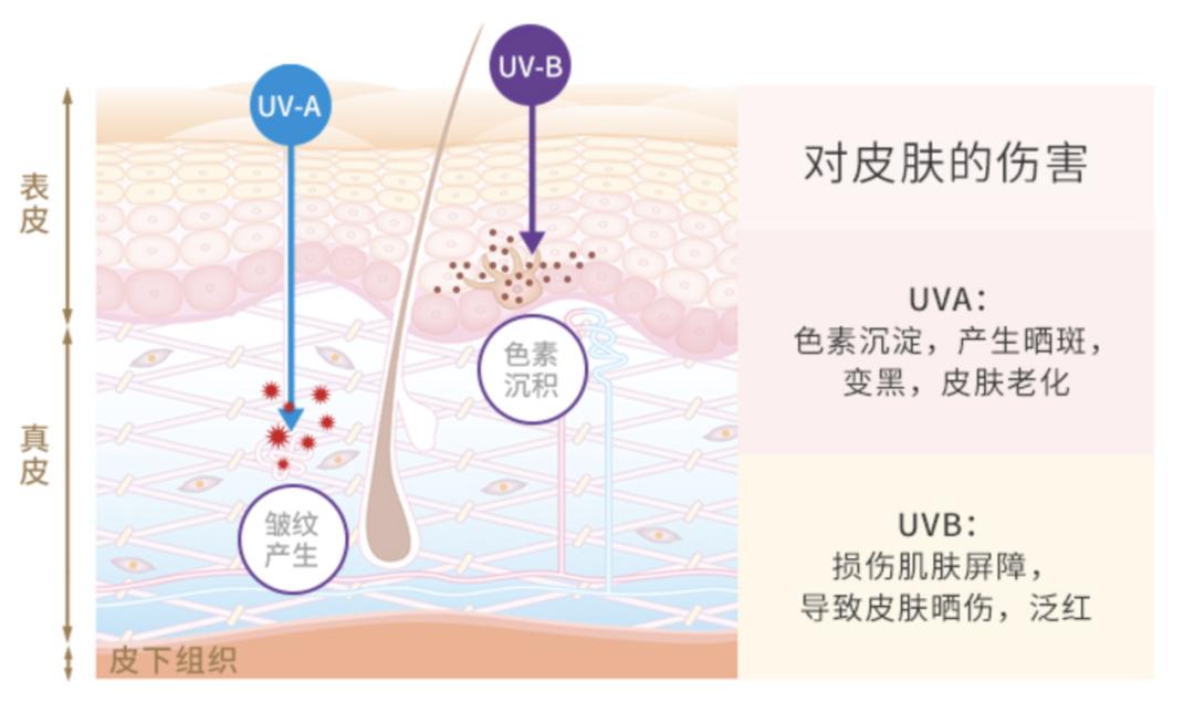 每天都可以用的日常通勤防晒推荐,2022好用的防晒排行榜