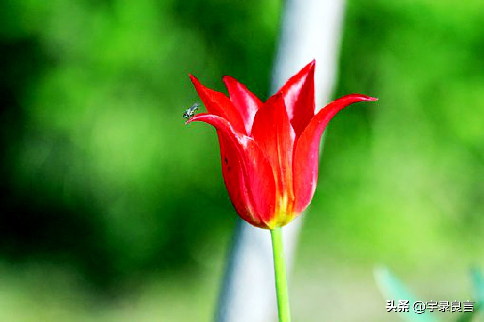 增长人生智慧的经典良言,老一辈人的智慧良言