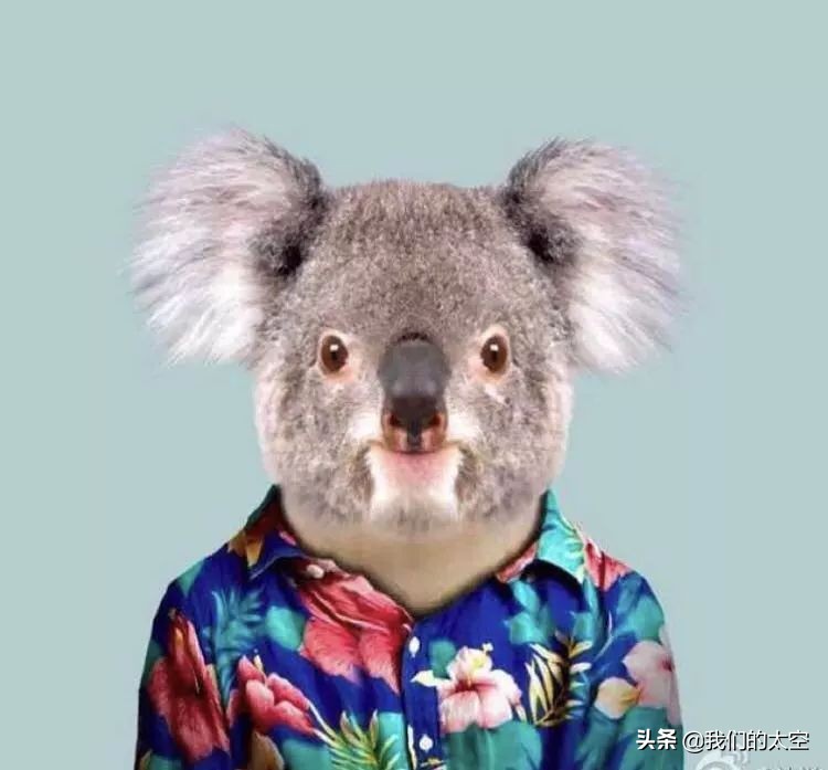 太空是什么色的,太空是什么东西