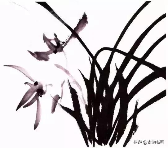 国画兰花技法讲解视频,徐湛国画兰花技法教学