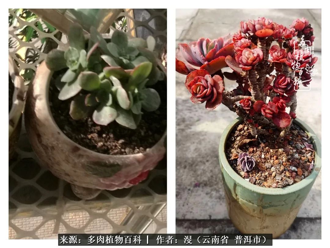 风过留痕讲的啥,风过留痕朗诵