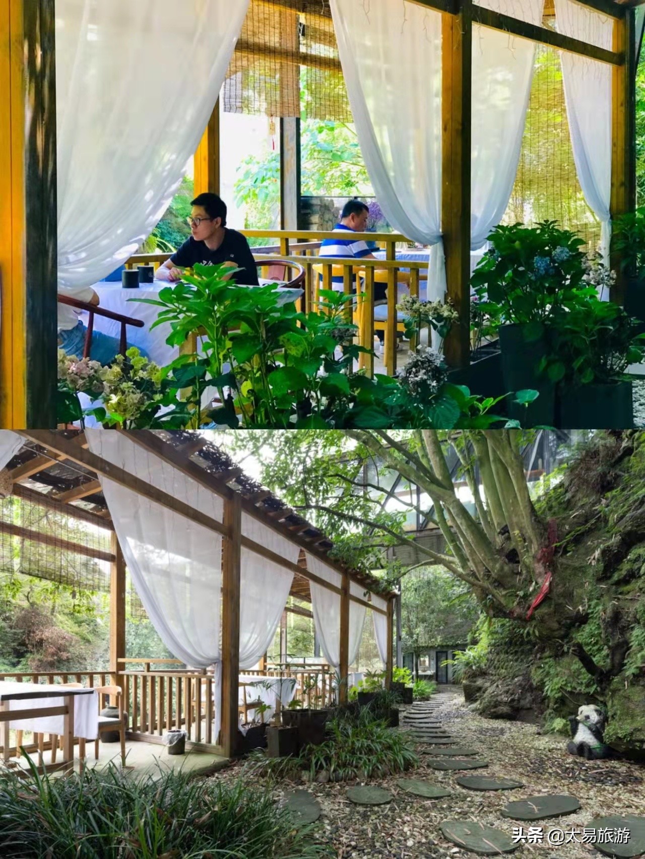 青城山山里山秘境森林温泉民宿,藏在青城山中避暑民宿