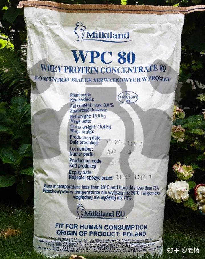 普通健身者吃什么蛋白粉,健身鸡蛋蛋白粉怎么吃