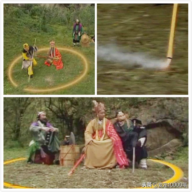 柴犬领地意识太强怎么办,柴犬家里出现领地意识