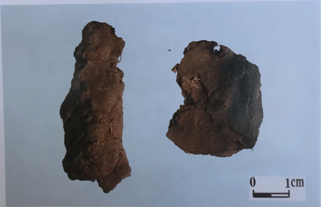 紫草中含哪些有效成分,紫草膏的紫草是什么样子