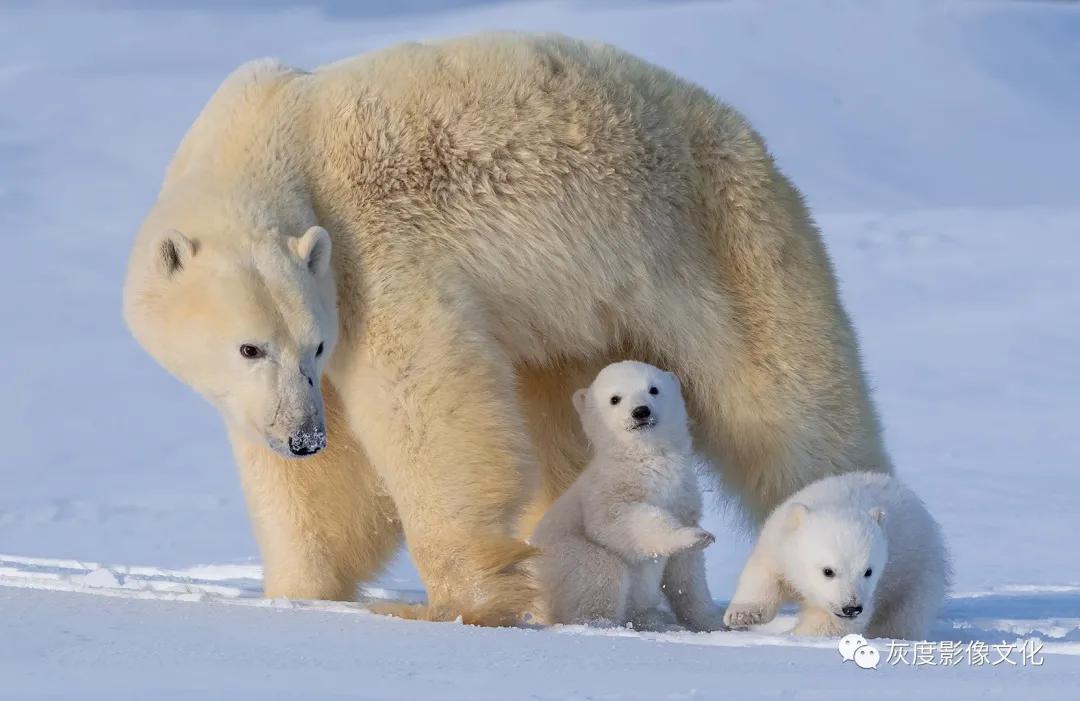 第四届国际风光摄影大赛,第四届国际摄影巡回赛