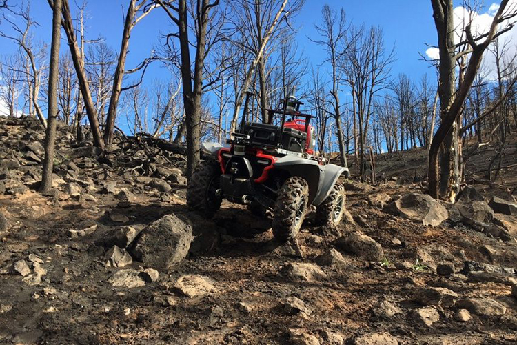 罪恶之城2004在线,汽车领域在今年ces上有哪些看头