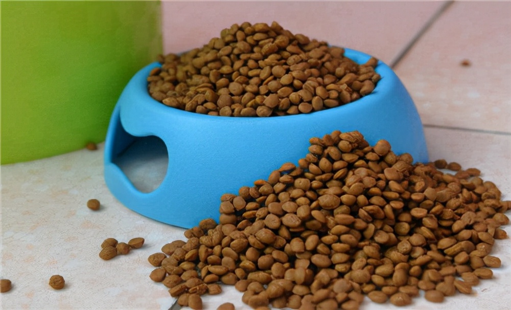 狗狗呕吐的症状和治疗方法,狗狗频繁呕吐是什么原因怎么治疗