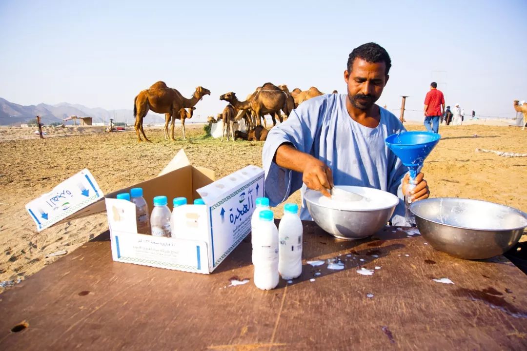 靠捡垃圾成了千亿富翁完整版,捡垃圾变成百万富翁