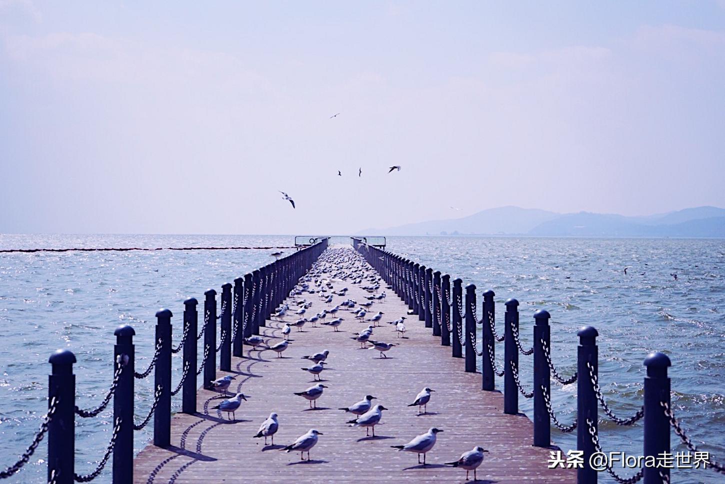 我们的2017完整视频,我们的2018电影完整版荷兰