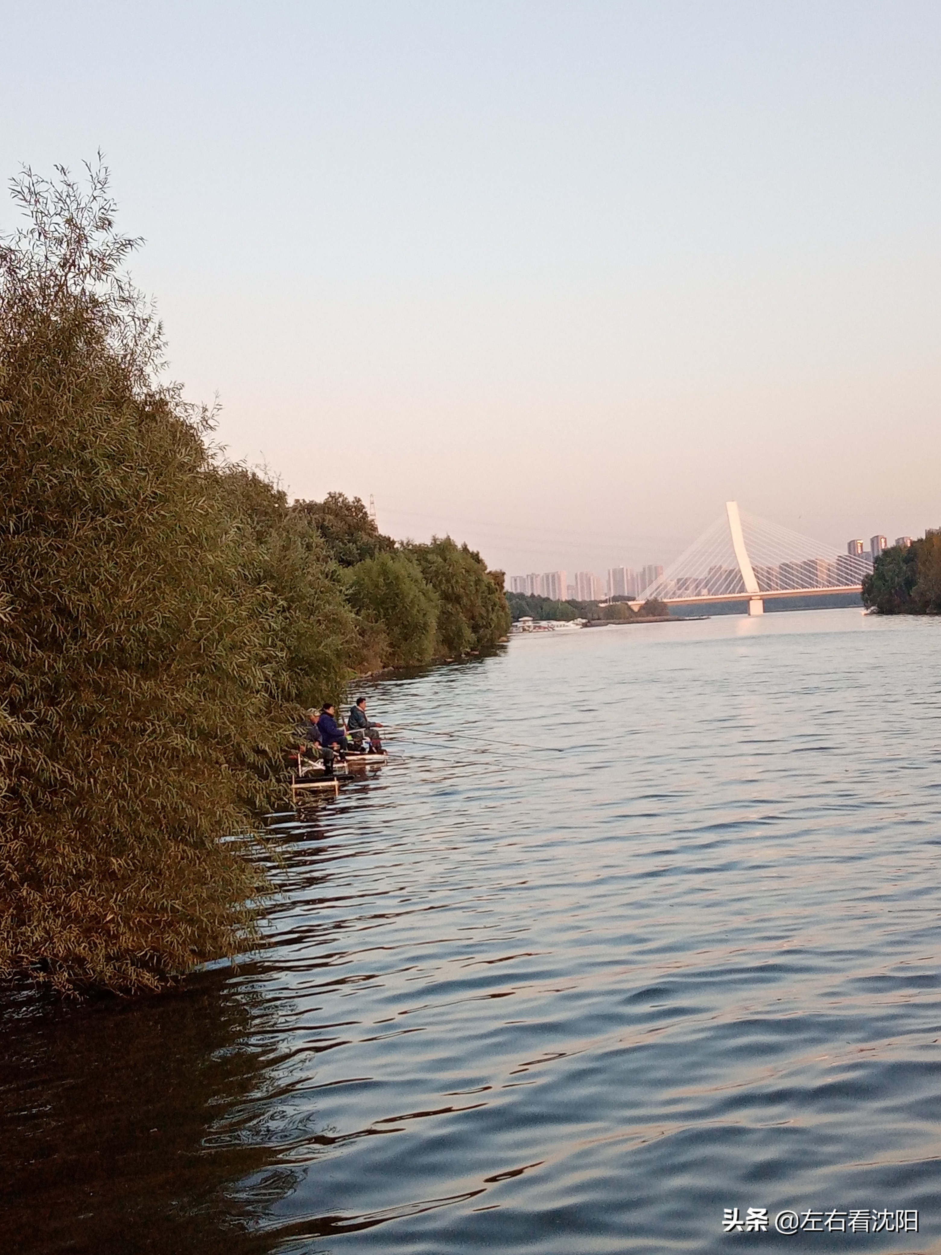 沈阳五里河公园攻略,沈阳五里河公园现在开吗