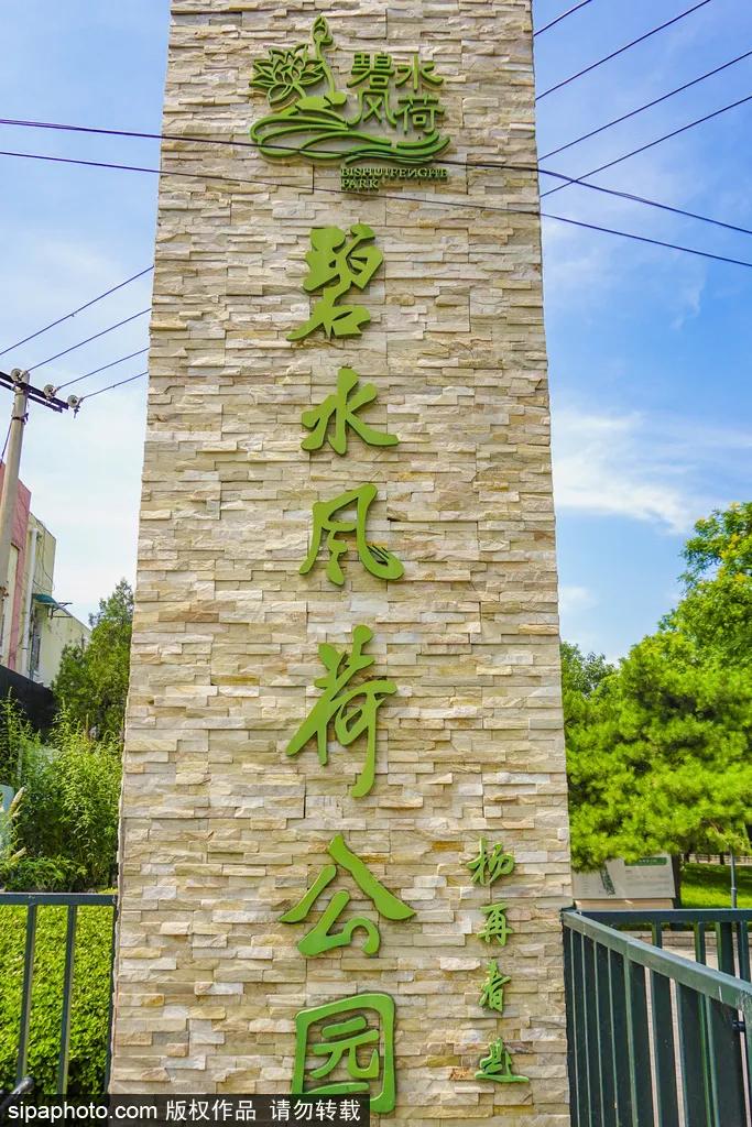 小暑福利活动,今日小暑暑热来袭如何觅得清凉