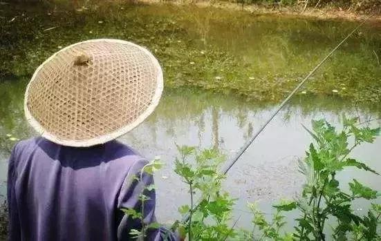 不同季节的最佳钓鱼时间分析,钓鱼最佳季节几月