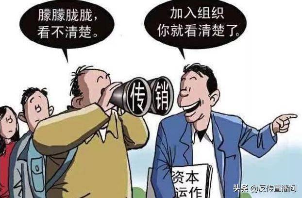 1040阳光项目如何拿到钱,1040阳光项目能学到知识吗