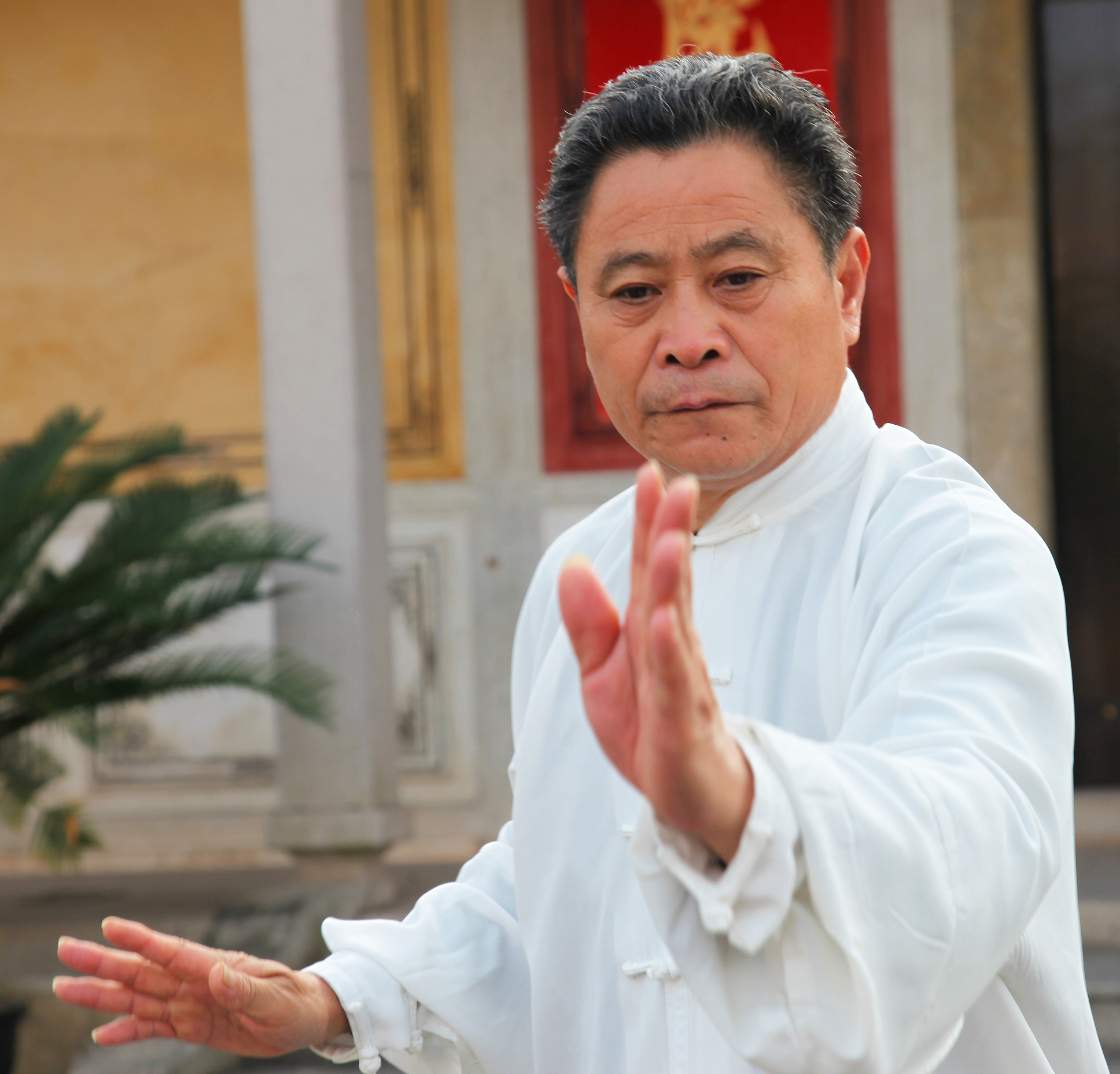 太极拳是中国的传统文化吗,太极拳是文化拳还是实战拳