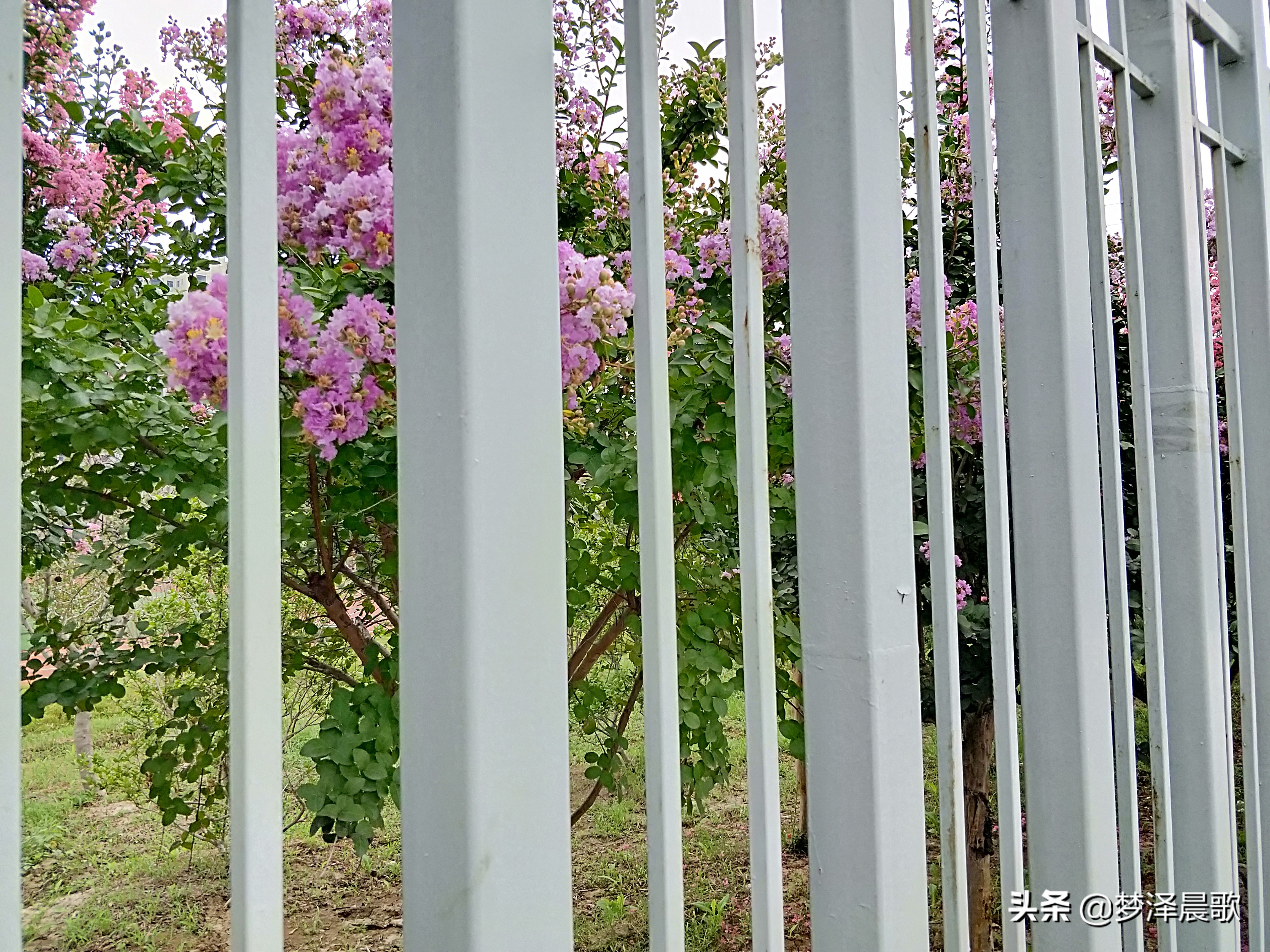 云梦县黄香小学好吗,云梦县黄香小学全貌图