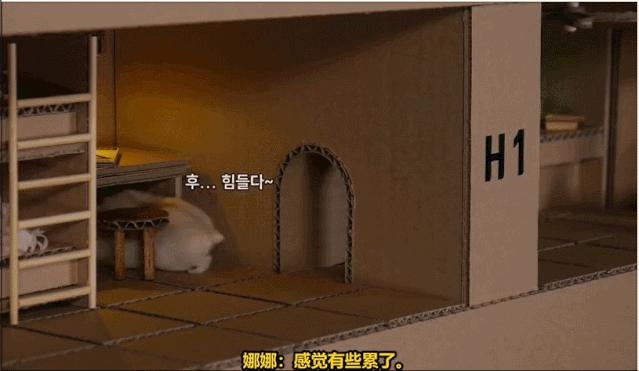 身价300万的仓鼠外网走红！住3层电梯豪宅，丰富娱乐，人不如鼠啊