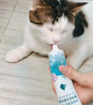 猫毛吸进肺里案例,猫的毛会吸进肺里吗