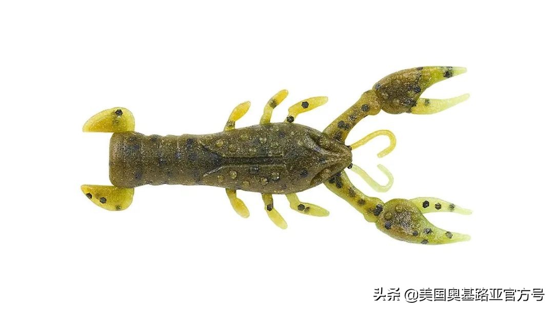 全国渔具展会2021时间表图片,2023国际渔具展会大全一览表