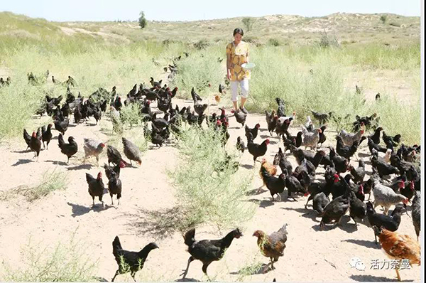 45万奈曼人的名片,太漂亮了!除了中华麦饭石你还知多少?