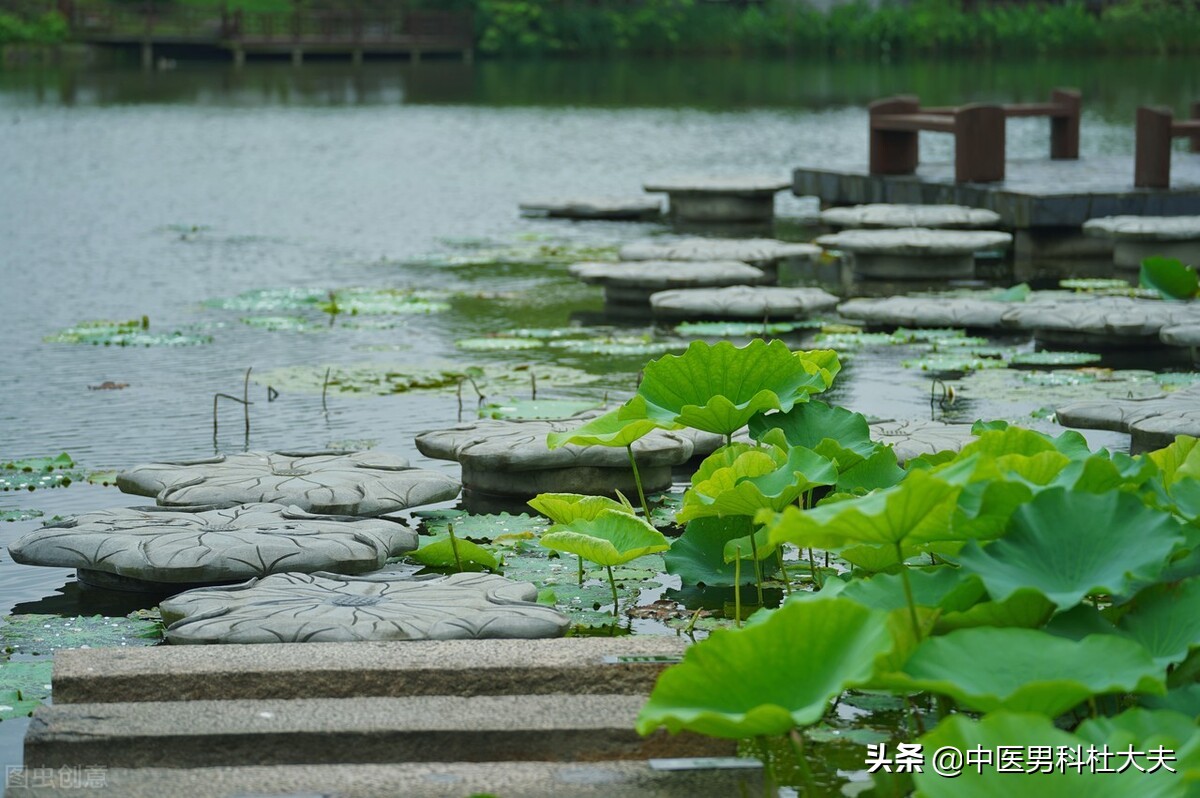 容易生气气血不足怎么调理,容易生气肝火旺口气臭怎么办