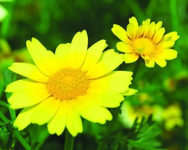 男子深夜去女子家不走,被堵怎么脱身