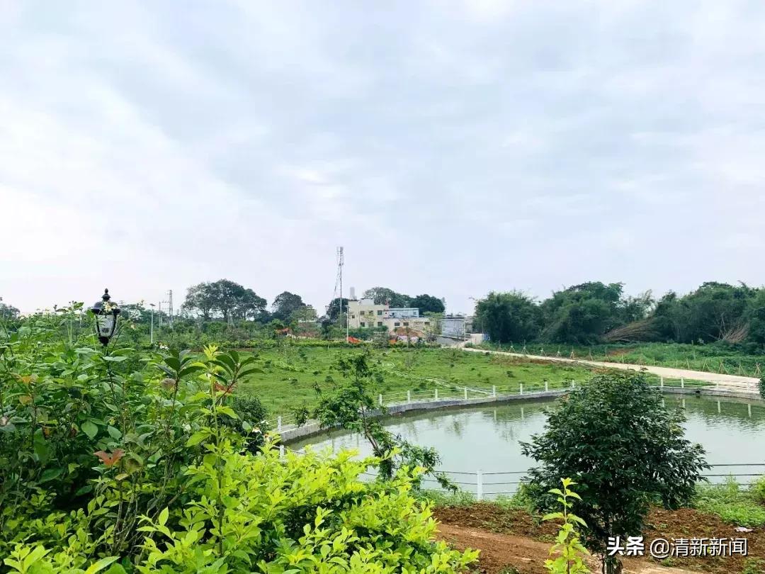 三坑75岁“拳痴”重出江湖？厉害！